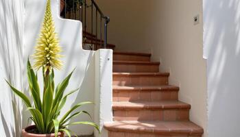 a yucca plant placed near a staircase. photo