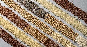 Assortment of healthy grains and seeds in diagonal rows, including rice, buckwheat, and sunflower photo