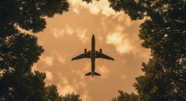 Passenger airplane flying overhead against a warm sky, framed by green tree foliage photo