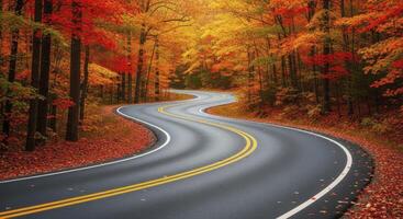 A winding asphalt road curves through a vibrant autumn forest with colorful red and yellow leaves photo