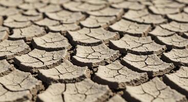 Parched cracked earth in a desert landscape showing effects of drought and extreme heat photo
