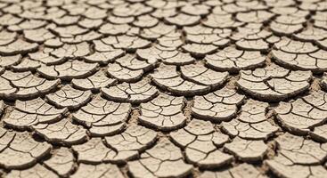 Parched and cracked earth showing severe drought conditions and environmental impact photo