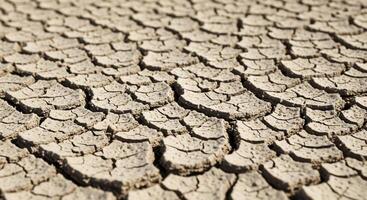 Parched cracked earth showing severe drought and desertification due to climate change photo