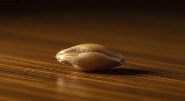 Macro shot of a single golden barley grain resting on a dark wooden surface photo