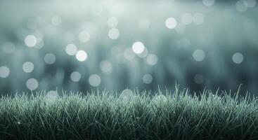 Lush Green Grass with Sparkling Dew Drops and Soft Bokeh Light Background photo