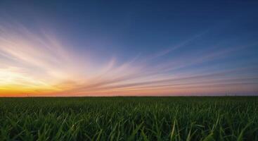Vast green field under a vibrant sunset sky with colorful clouds at dusk photo
