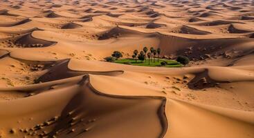 Aerial view of a vibrant green oasis surrounded by endless golden sand dunes in a vast desert landscape photo