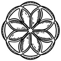 Geometric floral mandala, symmetrical black and white line art pattern, circular abstract design element vector