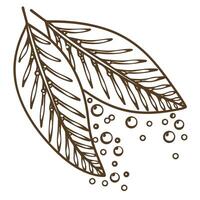 Abstract line art of two overlapping leaves with bubbles simple botanical illustration, nature concept, organic design vector