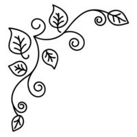 elegant leafy corner design decorative ornamental flourish element with swirling vine and leaves, outline vector