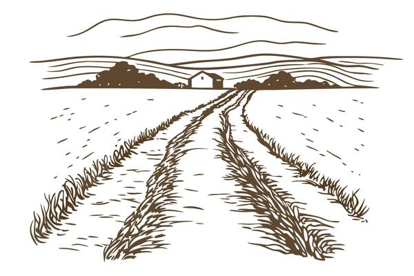 Countryside dirt road leading to farmhouse rural landscape with fields, distant trees, clear horizon, peaceful scenery
