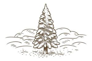 Snow covered evergreen tree winter landscape with pine in sketch style, snowy field, hand drawn illustration vector