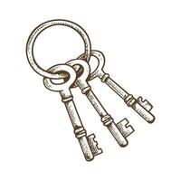 Vintage iron skeleton keys on metal ring antique security objects, old fashioned access tools, retro home concept vector