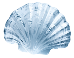 seashell-shaped ice block with realistic texture and crystal transparency, abstract frozen object for culinary or design use, on isolated background png