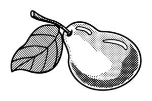Hand drawn pear with leaf, vintage fruit illustration sketch in black ink and stippling technique vector