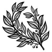 Botanical laurel wreath, hand drawn black and white leafy branch with berries, decorative natural element vector