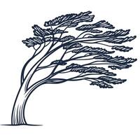 Wind swept pine tree illustration, stylized silhouette showing curved trunk and branches in strong breeze vector