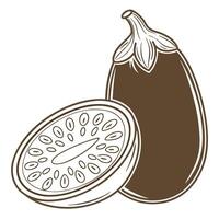 Eggplant illustration with sliced half hand drawn vegetable graphic, fresh aubergine isolated on white background vector