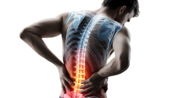 Man Experiencing Back Pain with Lumbar Region Highlighted on Transparent Background png