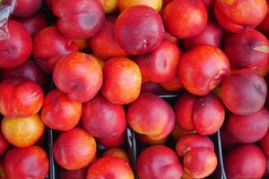 Fresh nectarines gathered at a local market photo