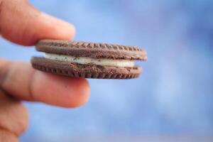 Delicious chocolate cookie held in a person's hand photo