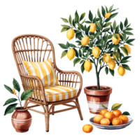 Rattan Chair with Lemon Tree and Oranges on Transparent Background png