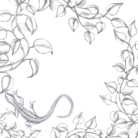 Square frame with curved branches and lizard. Isolated pencil illustration in realistic style for postcards, posters, printing on fabric and clothes, flower shop design. png