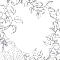 Square frame with curved branches, spider and web. Isolated pencil illustration in realistic style for postcards, posters, printing on fabric and clothes, flower shop design. png