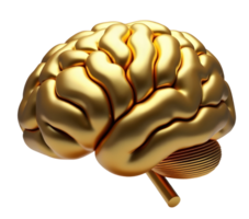 Golden shiny brain model with smooth surface and detailed structure isolated on black png