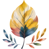 Single leaf design with watercolor effect displaying autumnal colors png