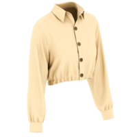 Render cropped buttoned blouse with transparent background png