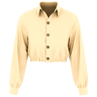 3d render cropped buttoned blouse with transparent background png