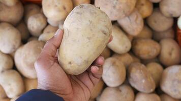 Selecting fresh potatoes at the local market video