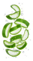 Fresh Aloe Vera Slices Floating with Water Droplets on Transparent Backdrop png