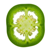 Macro Slice of Jalapeno Pepper with Seeds on Transparent Background png