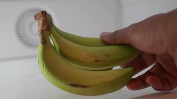 Fresh green bananas displayed on a kitchen countertop video