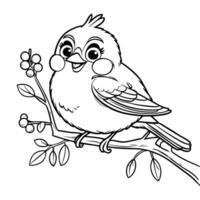 Chubby Bird on a Branch with Berries Coloring Page vector