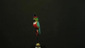 maestro parrot Jacques, a real artist, slowly and importantly swings sitting on a ring, dark background of the stage video