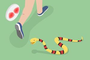 3D Isometric Flat Conceptual Illustration of Poisonous Snake Bit , Venomous Serpent Snap vector