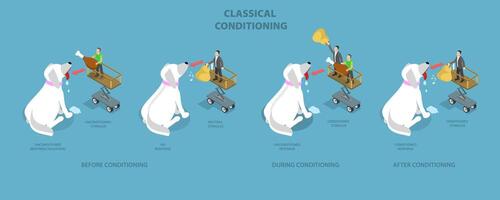 3D Isometric Flat Conceptual Illustration of Classical Conditioning, Pavlovian Respondent Learn Scheme vector