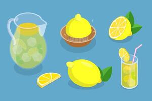 3D Isometric Flat Set of Lemonade Elements, Lemon, Ice and Jug vector