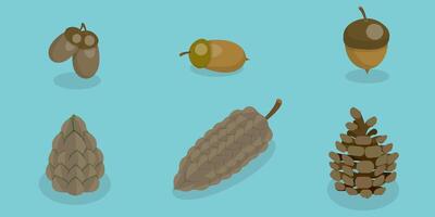 3D Isometric Flat Set of Acorns And Cones, Natural Objects vector