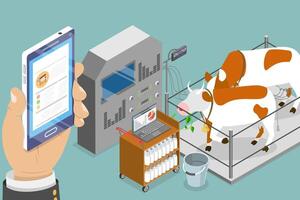 3D Isometric Flat Conceptual Illustration of Animal Smart Farming, Automation Technologies vector