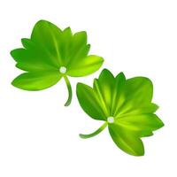 illustration of two green leaves with pearl centers, created using mesh gradient. vector