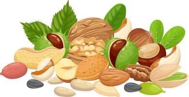 Vibrant assortment of walnuts, almonds, peanuts, chestnuts, pistachios, hazelnuts, and sunflower seeds arranged in a visually appealing pile, highlighting their natural colors and textures vector