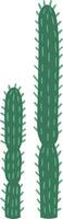 Two green cacti of varying sizes growing side by side on a clean white background, adding a delightful touch of desert charm and vibrant nature to any design project vector
