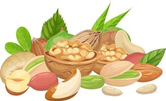 Different kinds of nuts and their green leaves are forming a colorful and delicious mix, promoting a healthy lifestyle with vitamins and vegetable proteins vector