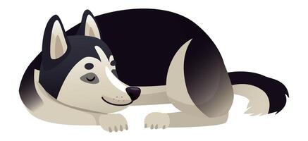 Siberian husky puppy resting peacefully with closed eyes, embodying tranquility and calmness while enjoying a cozy nap, radiating the joy of a beloved companion vector