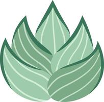 Stylized succulent plant with large green leaves forming a beautiful symmetrical shape, ideal for projects related to nature, botany, decoration and well being vector