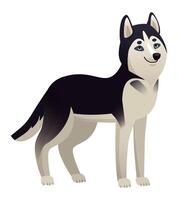 Cartoon husky dog standing still with a friendly expression, eagerly waiting for a command, showcasing its obedient and loyal nature against a clean white background vector